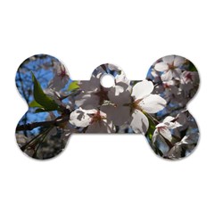 Cherry Blossoms Dog Tag Bone (one Sided) by DmitrysTravels