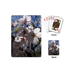 Cherry Blossoms Playing Cards (mini) by DmitrysTravels