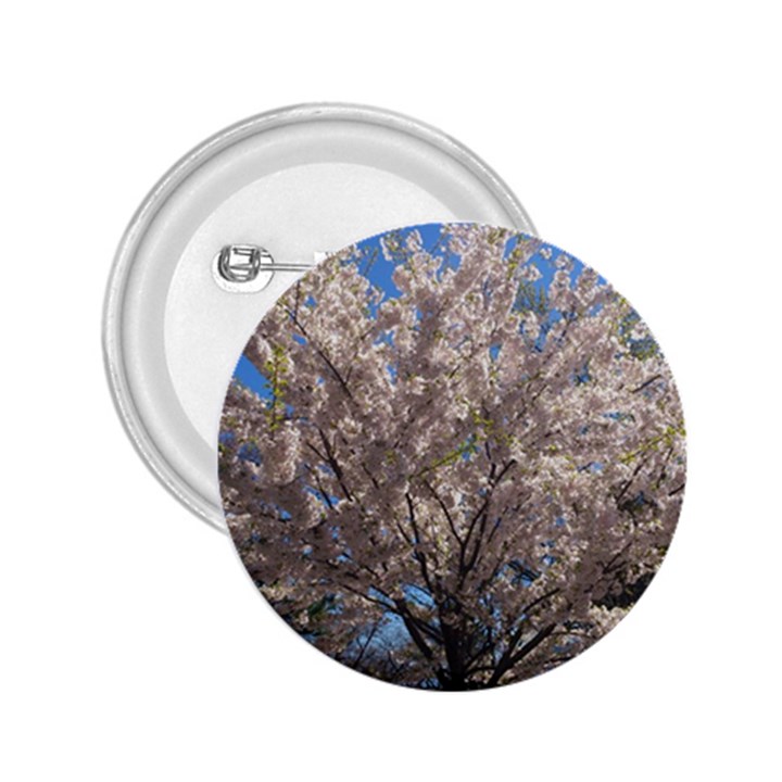 Cherry Blossoms Tree 2.25  Button