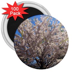 Cherry Blossoms Tree 3  Button Magnet (100 Pack)