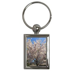 Cherry Blossoms Tree Key Chain (rectangle) by DmitrysTravels