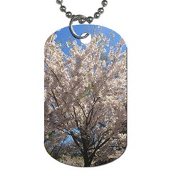 Cherry Blossoms Tree Dog Tag (one Sided) by DmitrysTravels