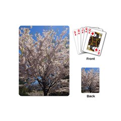 Cherry Blossoms Tree Playing Cards (mini) by DmitrysTravels