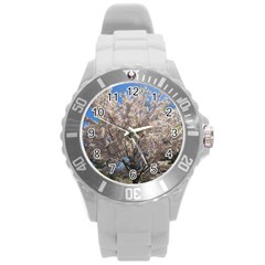 Cherry Blossoms Tree Plastic Sport Watch (large) by DmitrysTravels