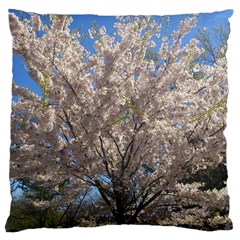 Cherry Blossoms Tree Large Cushion Case (single Sided)  by DmitrysTravels