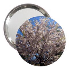 Cherry Blossoms Tree 3  Handbag Mirror by DmitrysTravels