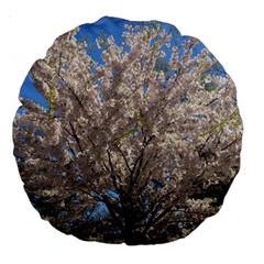 Cherry Blossoms Tree 18  Premium Round Cushion  by DmitrysTravels