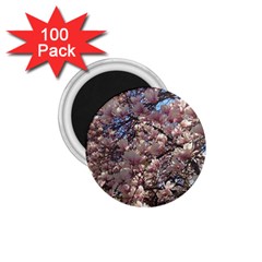 Sakura 1 75  Button Magnet (100 Pack)