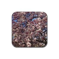 Sakura Drink Coaster (square)