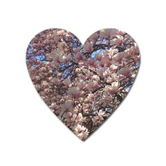 Sakura Magnet (heart) by DmitrysTravels