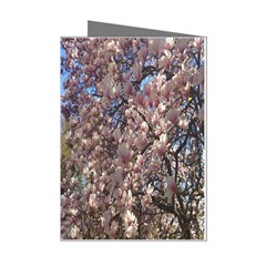 Sakura Mini Greeting Card (8 Pack)