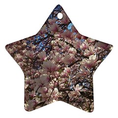 Sakura Star Ornament (two Sides) by DmitrysTravels