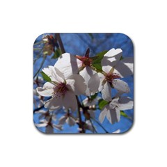 Cherry Blossoms Drink Coaster (square) by DmitrysTravels