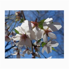 Cherry Blossoms Glasses Cloth (small, Two Sided)