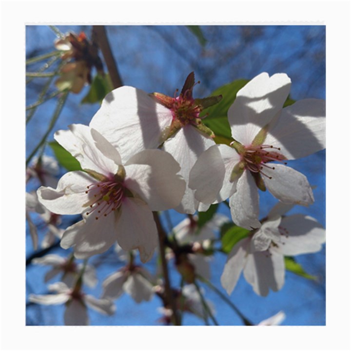 Cherry Blossoms Glasses Cloth (Medium)