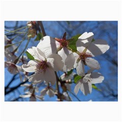 Cherry Blossoms Glasses Cloth (large) by DmitrysTravels