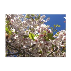 Cherry Blossoms A4 Sticker 10 Pack