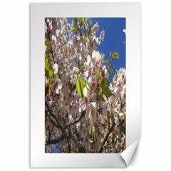 Cherry Blossoms Canvas 24  X 36  (unframed) by DmitrysTravels