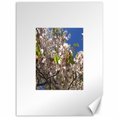 Cherry Blossoms Canvas 36  X 48  (unframed) by DmitrysTravels