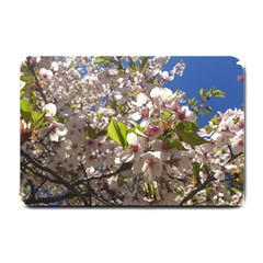 Cherry Blossoms Small Door Mat by DmitrysTravels