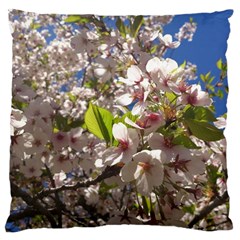 Cherry Blossoms Large Cushion Case (two Sided)  by DmitrysTravels