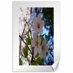 Sakura Canvas 24  X 36  (unframed)