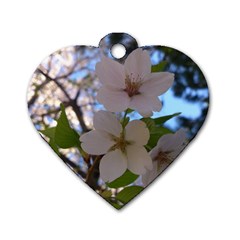 Sakura Dog Tag Heart (two Sided)