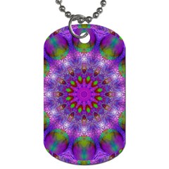 Rainbow At Dusk, Abstract Star Of Light Dog Tag (two-sided)  by DianeClancy