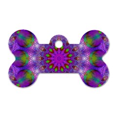 Rainbow At Dusk, Abstract Star Of Light Dog Tag Bone (one Sided) by DianeClancy