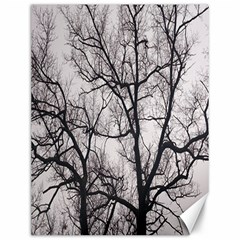Tree Canvas 12  X 16  (unframed)