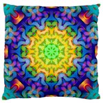 Psychedelic Abstract Large Cushion Case (Two Sided)  Front