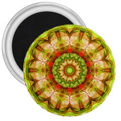 Red Green Apples Mandala 3  Button Magnet by Zandiepants