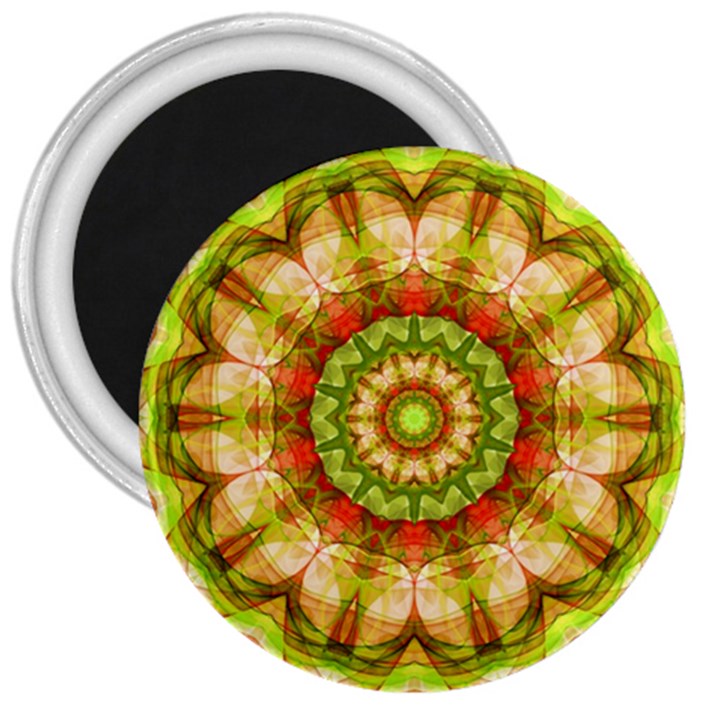 Red Green Apples Mandala 3  Button Magnet