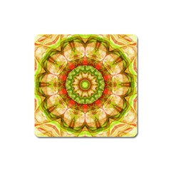 Red Green Apples Mandala Magnet (square) by Zandiepants