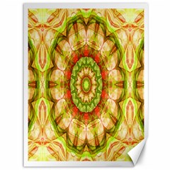 Red Green Apples Mandala Canvas 36  X 48  (unframed) by Zandiepants