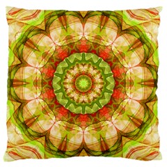 Red Green Apples Mandala Large Cushion Case (two Sided)  by Zandiepants