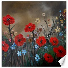 Poppy Garden Canvas 20  X 20  (unframed)