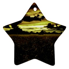 Dark Meadow Landscape  Star Ornament