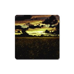 Dark Meadow Landscape  Magnet (square) by dflcprints
