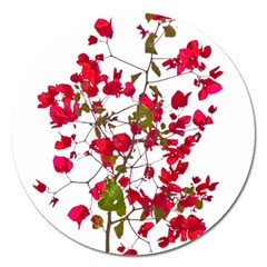 Red Petals Magnet 5  (round) by dflcprints