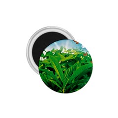 Nature Day 1 75  Button Magnet by dflcprints