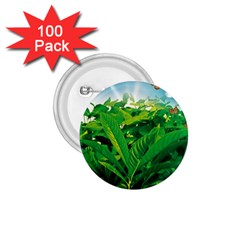 Nature Day 1 75  Button (100 Pack) by dflcprints