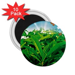 Nature Day 2 25  Button Magnet (10 Pack) by dflcprints