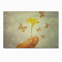 Butterflies Charmer Postcard 4 x 6  (10 Pack) by dflcprints