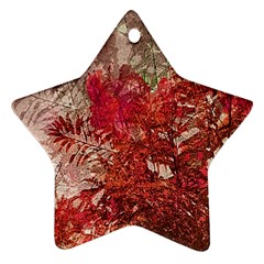 Decorative Flowers Collage Star Ornament (two Sides) by dflcprints