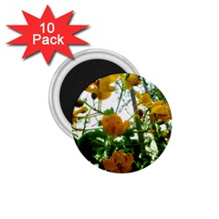 Yellow Flowers 1 75  Button Magnet (10 Pack) by SaraThePixelPixie