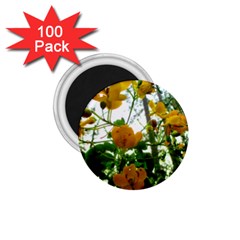 Yellow Flowers 1 75  Button Magnet (100 Pack) by SaraThePixelPixie