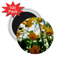 Yellow Flowers 2 25  Button Magnet (100 Pack)