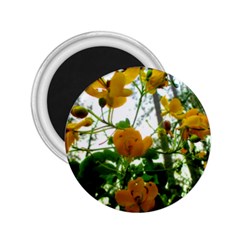 Yellow Flowers 2 25  Button Magnet by SaraThePixelPixie