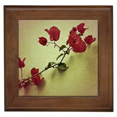 Santa Rita Flower In Warm Colors Wall Photo Framed Tile by dflcprints